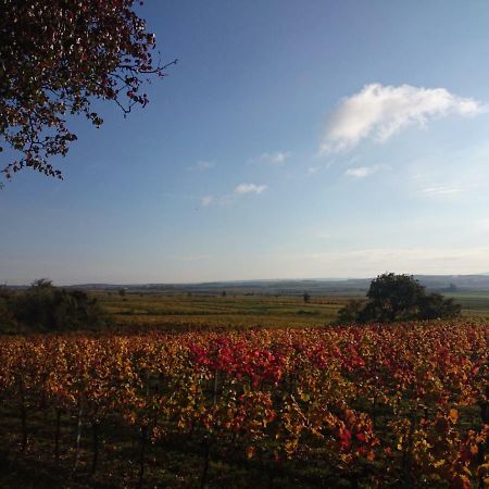 Апартаменты Weingut Wagner Leodagger Экстерьер фото