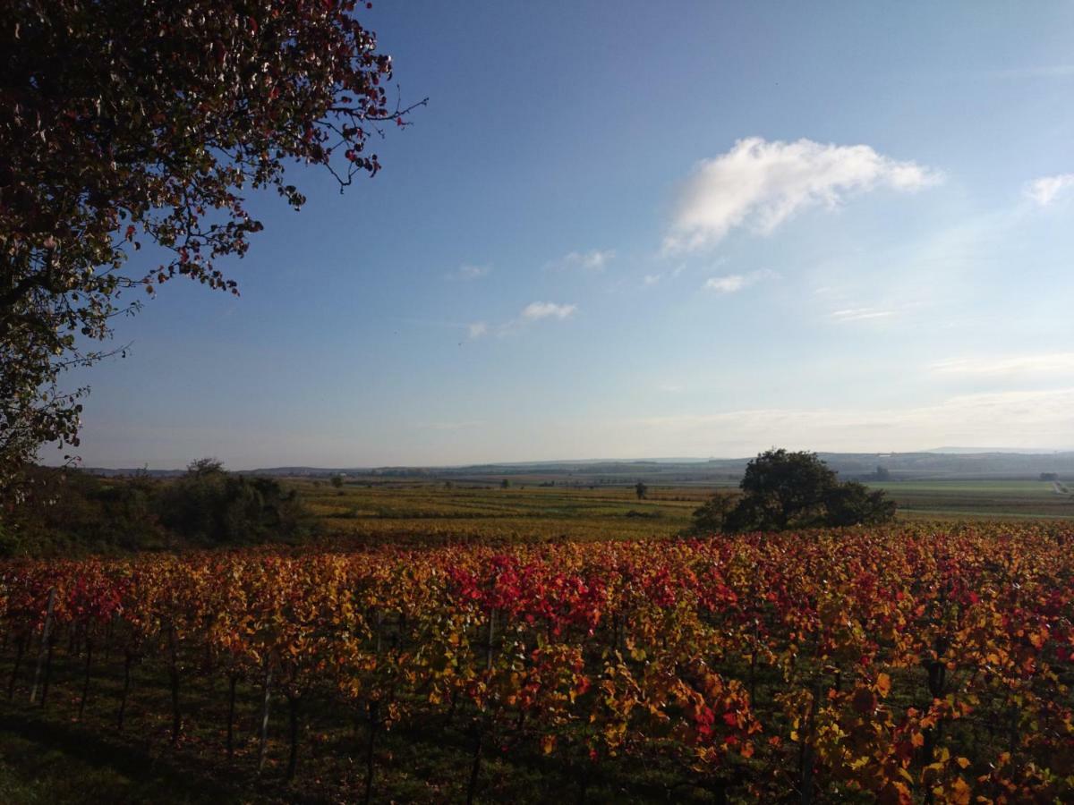 Апартаменты Weingut Wagner Leodagger Экстерьер фото